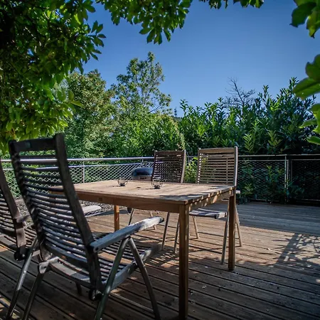 Attic & Terrace * גראץ