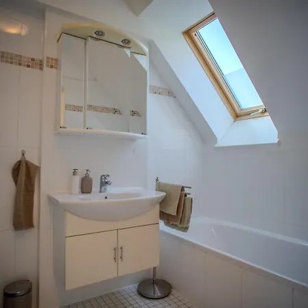 Attic & Terrace Appartement Graz