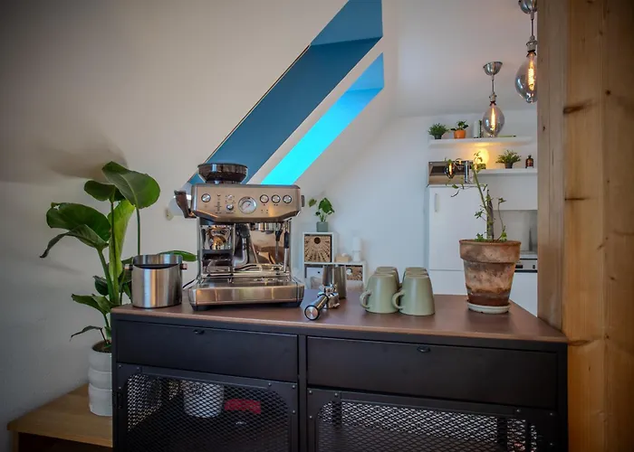 Attic & Terrace * 格拉茨